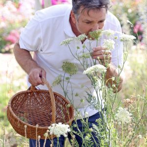 Specialitá di erbe selvatiche -Wildkräuter sammeln & kochen: Natur trifft Genuss!